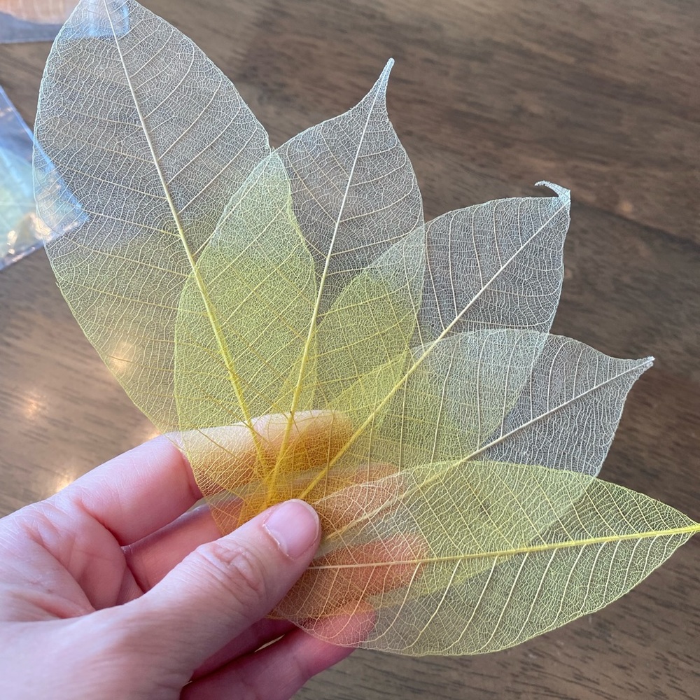 Dried Leaves, Rustic Decor 5pcs per pack